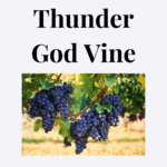Thunder God Vine