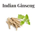 Indian Ginseng