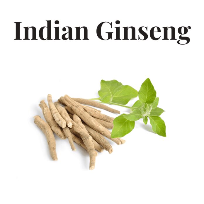 Indian Ginseng