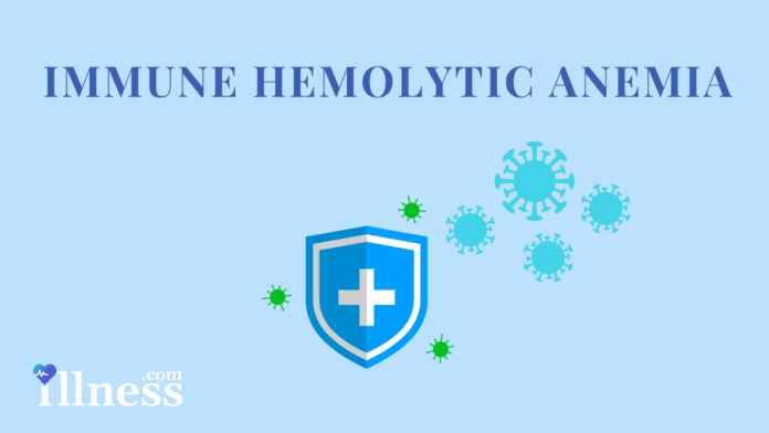 Immune Hemolytic Anemia