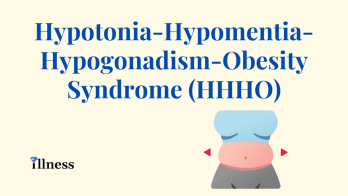 Hypotonia-Hypomentia-Hypogonadism-Obesity Syndrome (HHHO)
