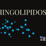 Sphingolipidosis 1