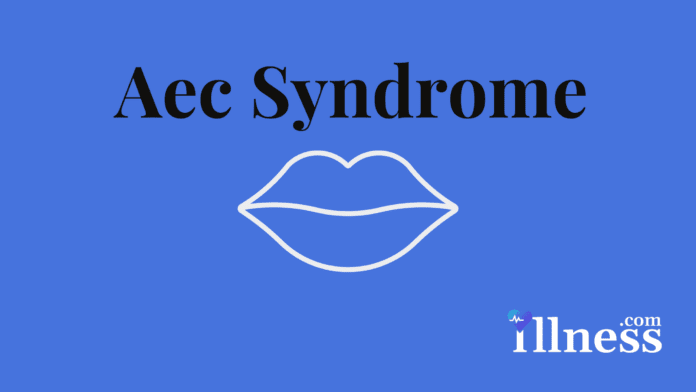 AEC Syndrome