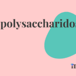 Mucopolysaccharidosis Type Ii