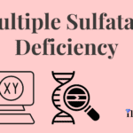Multiple Sulfatase Deficiency
