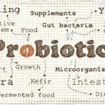 What’s The Best Kind Of Probiotic? How Can They Help?