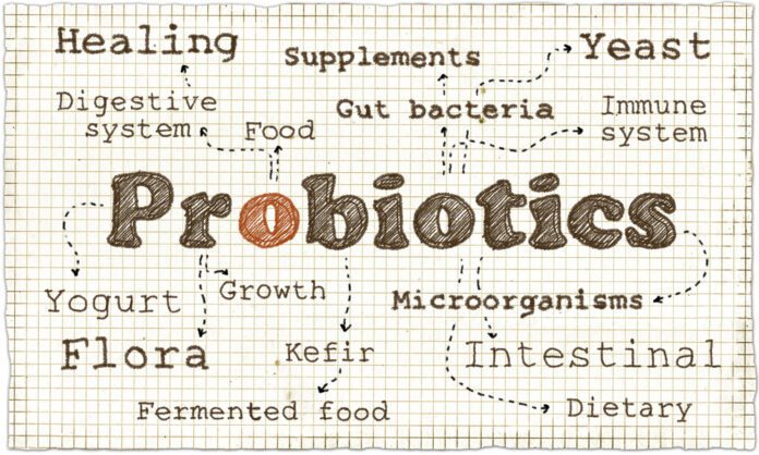 What’s The Best Kind Of Probiotic? How Can They Help?