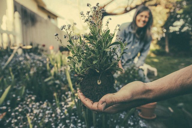The Correlation Between Gardening And Emotional Wellbeing
